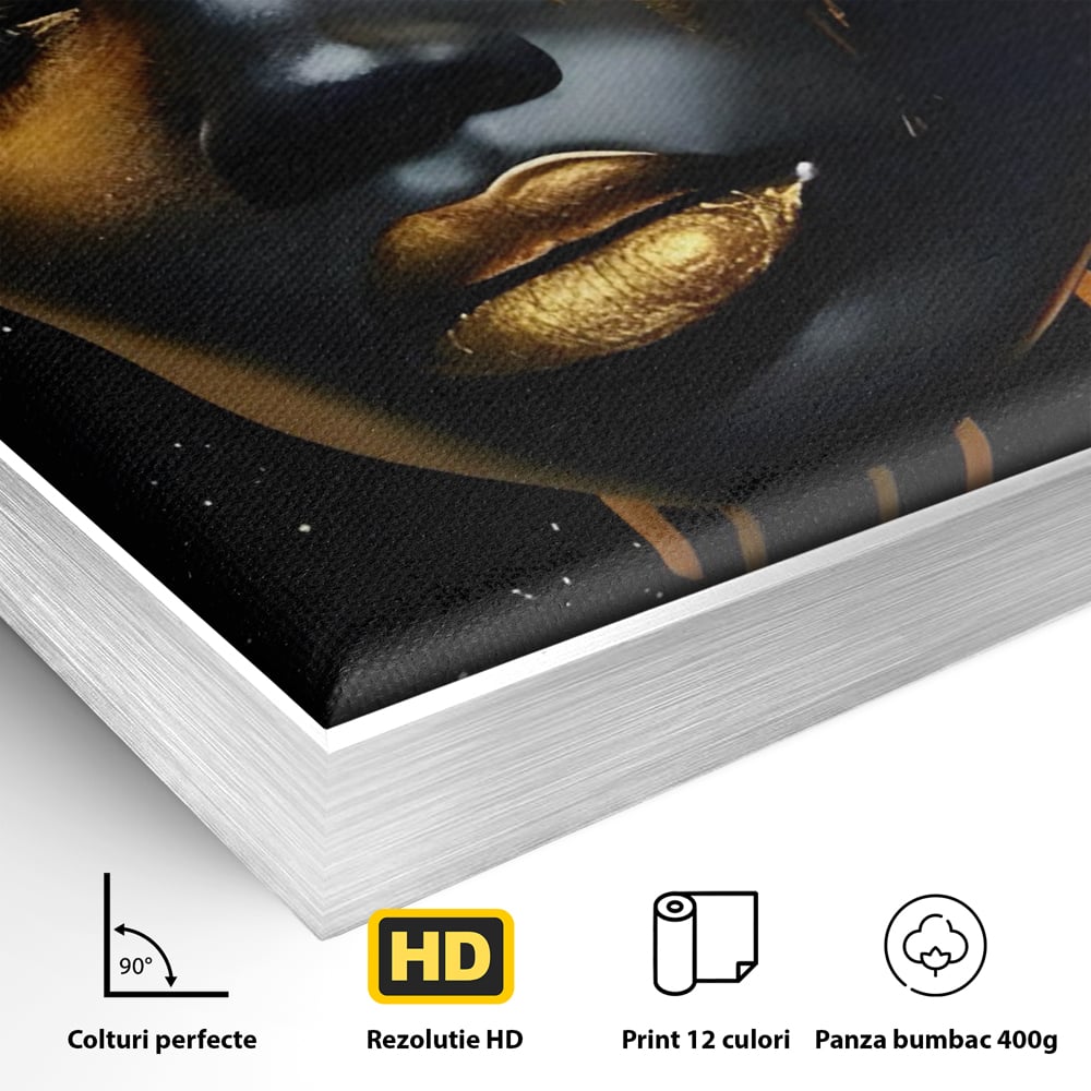 Detaliu al suprafetei: tablou canvas cu portret de femeie, in rama de aluminiu argintiu